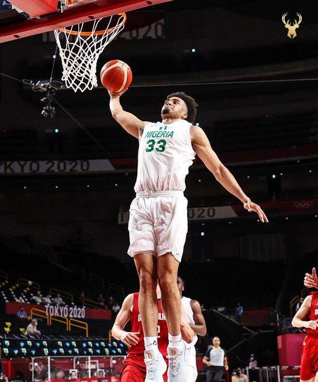 雄鹿新秀表现惊艳，全场观众掌声不断，经济文件.